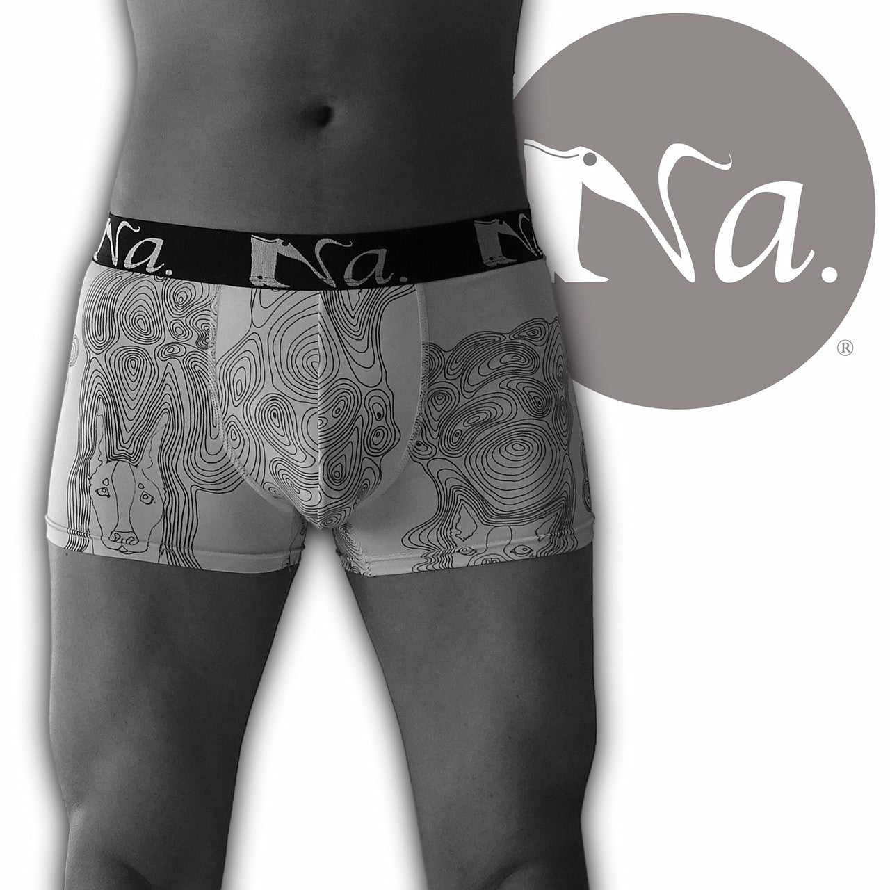Art Boxer Shorts Dog Run