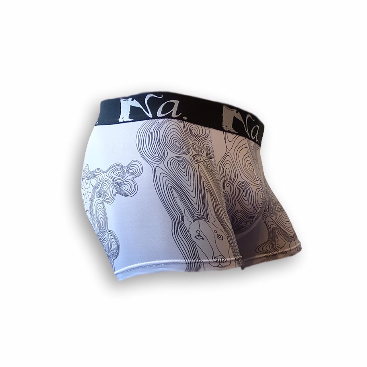 Art Boxer Shorts Dog Run