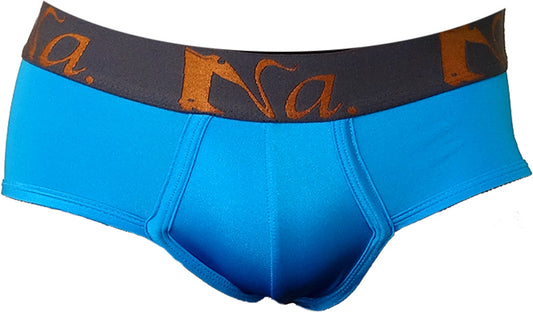 Bikini pants (light blue) 