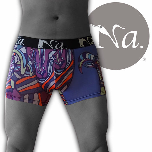 art boxer shorts IBEX